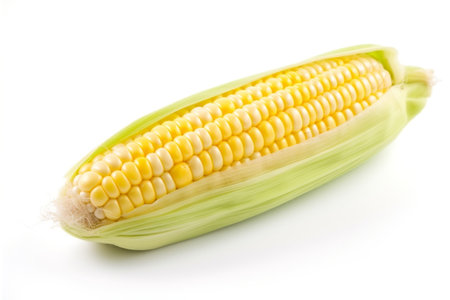 Isolated Corn white Background. Generative AIの素材