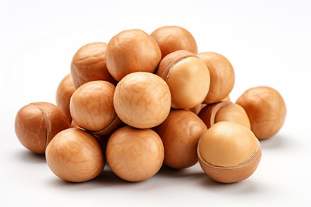 Macadamia Nutsの素材