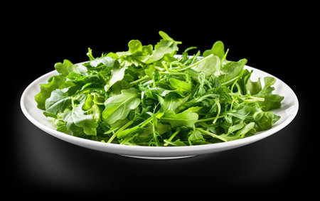Green Healthy Fresh Salad in a Plate Isolated on White Backgroundの素材