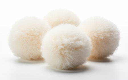 Collection of Soft Dryer Balls Isolated on White Backgroundの素材