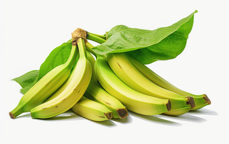 A Realistic Image Showcasing the Freshness of Plantain on White or PNG Tarnsparent Backgroundの素材