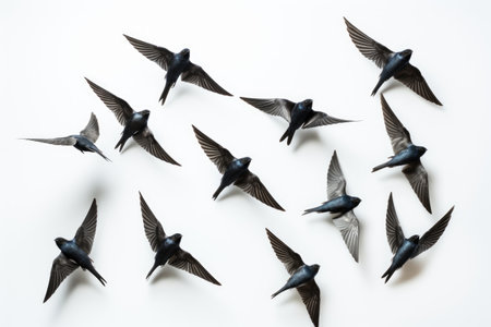 Swallow Flock Aerial Symphony Unfolds on a White or Clear Surface PNG Transparent Backgroundの素材