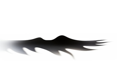 Veil of Dusk Elongated Evening Shadow on a White or Clear Surface PNG Transparent Backgroundの素材