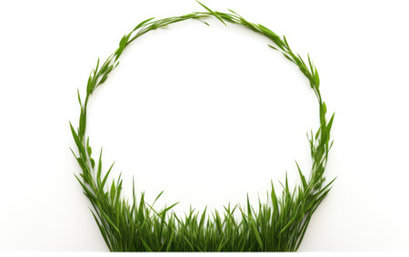 Grass Ring Vibrant Circular Greenery on a White or Clear Surface PNG Transparent Backgroundの素材