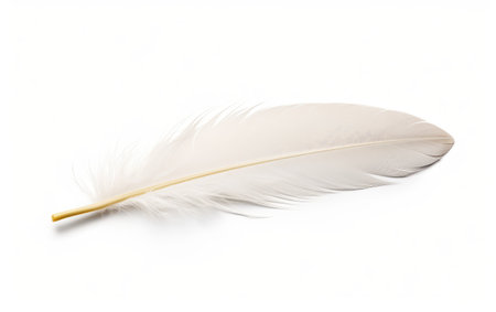 Lightness of Being Natures Plume on a White or Clear Surface PNG Transparent Backgroundの素材