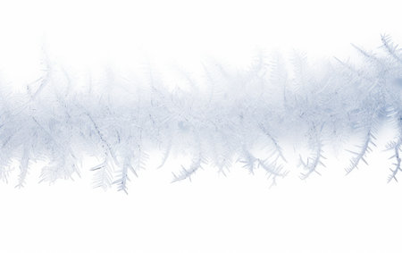 Frosty Snow Winters Cold Embrace on a White or Clear Surface PNG Transparent Backgroundの素材