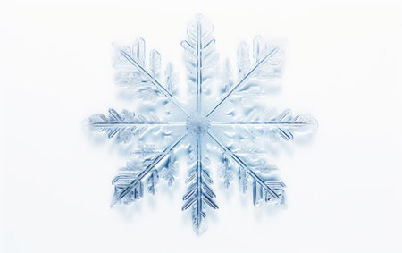 Snow Covered in Delicate Frost on a White or Clear Surface PNG Transparent Backgroundの素材