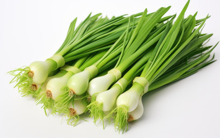 Collection of Bound Green Onion Bunch on White or PNG Transparent Backgroundの素材