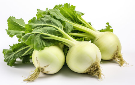 Gorgeous White Color Kohlrabi on White or PNG Transparent Backgroundの素材