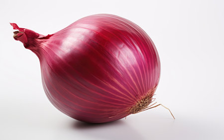 Circular Colorful Fresh Red Onion on White or PNG Transparent Backgroundの素材