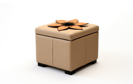 A Detailed Look at the Collapsible Storage Ottoman Isolated on White Backgroundの素材