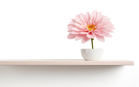 The Wall-Mounted Floating Box Shelves Showcase Isolated on White Backgroundの素材