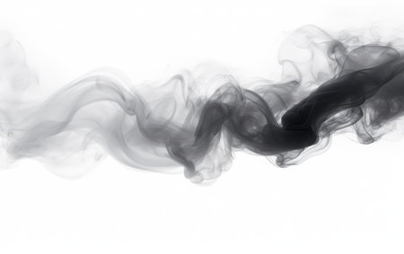 he Brooding Presence of Black Smoke in a Fiery Danceの素材