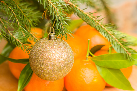 Golden Christmas ball on green spruce branch on a background of orange tangerinesの写真素材