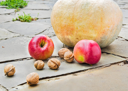 Pumpkin, apples and walnuts in the garden on the track of the grey stone on a cloudy autumn dayの写真素材
