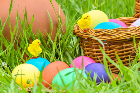 Painted Easter eggs and toy chickens on the background of a clay pitcher, wicker basket and green spring grassの写真素材