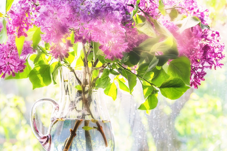 Flowering branch of lilac in a glass jar next to the window, lit by a ray of sunshine after a spring rain, backlitの写真素材