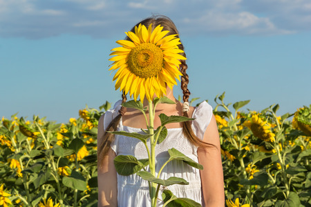 Girl hiding behind flower sunflower on a background of blue sky and field with sunflowersの写真素材