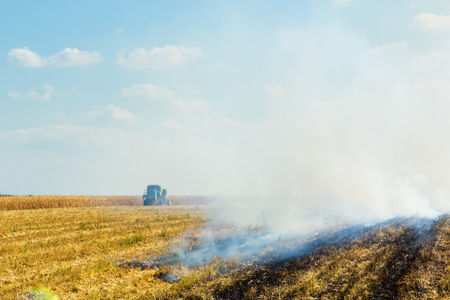 Corn harvesting and burning of stubble field in the autumn day on the background of blue sky with cloudsの写真素材