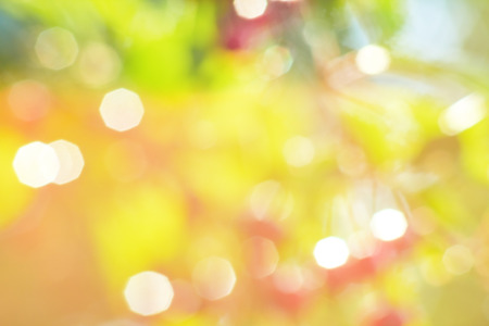 Summer background of blurred green foliage and red berries with patches of sunlight