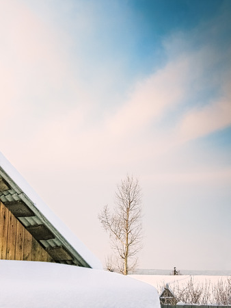 Snow-covered roof of the shed and poplar on the background of blue sky with pink clouds on a winter day at sunset, close-upの写真素材