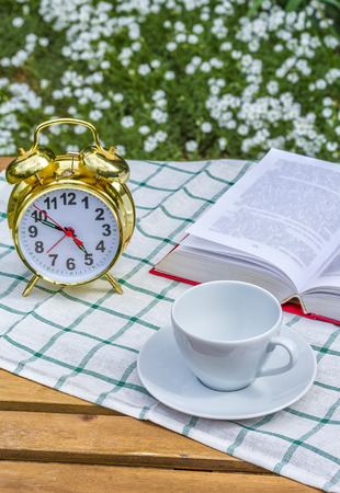 Relax with a book in the summer garden