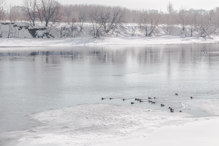 Winter landscape with Kolomenskoye  park and Moscow-river on a frosty day, retroの写真素材