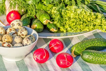 Still life with fresh summer vegetables, close-up. Green lettuce, dill, cucumbers, red radish and quail eggs in a white porcelain bowl on a striped linen napkinの写真素材