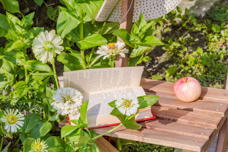 Apple hat and book on a wooden garden chair among the flowering white zinnias in the garden on a summer day. Selective focusの写真素材