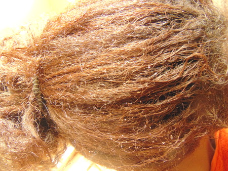 Wet brown colored hair of a young ladyの写真素材