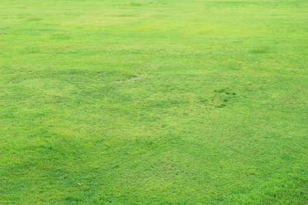 Vast lawnの写真素材