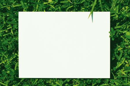 Paper and Lawn