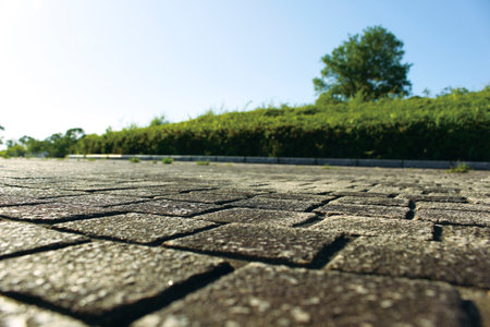 Road surface and sky
