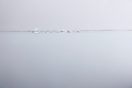 Water droplets on white background. Water drops on white background.の写真素材