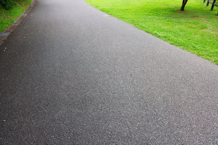 Asphalt walkway in the park with green grass and trees.