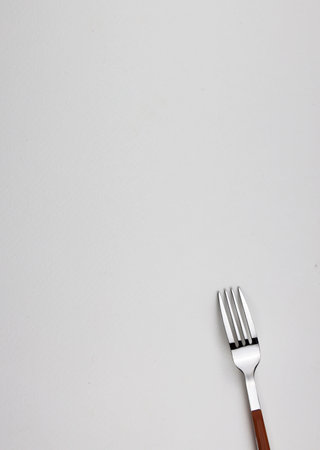 Fork isolated on white background with copy space for your text.