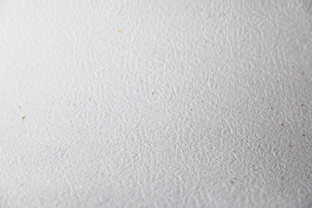 White paper texture background. White paper texture. White paper background.