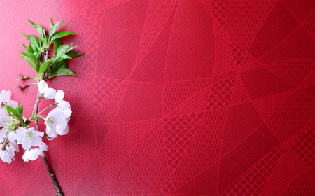cherry blossom on red background with copy space for your text