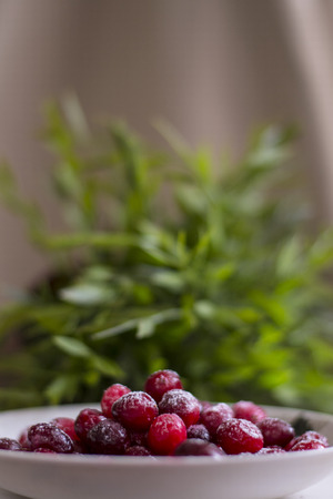 red cranberries in powdered sugar on a plateの写真素材