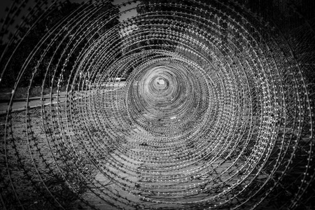 Barbed wire circle B&W black and whiteの写真素材