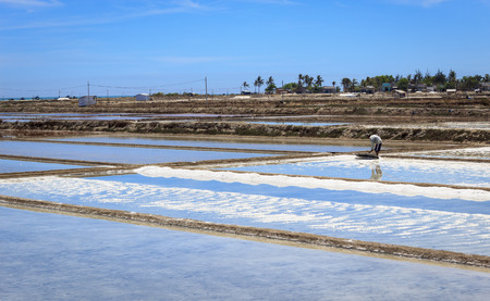 Farmer in Salt fieldのeditorial素材