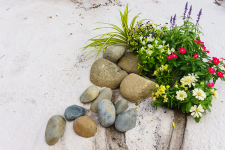 Flowers, stone and sandの写真素材