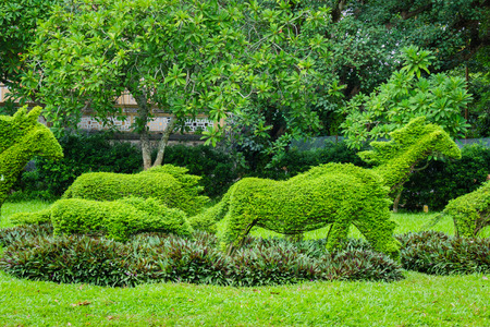 The green fence gardenの写真素材