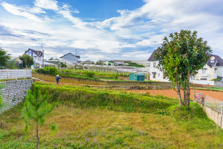Farmer working in garden vegetableのeditorial素材