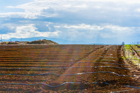 Farmland with lines water