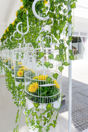 Bird Cages Decorationの写真素材