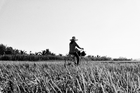 Woman ride the meadow. Black and whiteの写真素材
