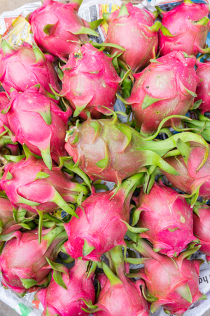 The Dragon fruits looking downの写真素材