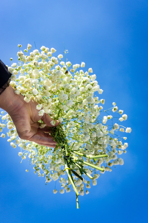 Hand of groom with flowerの写真素材