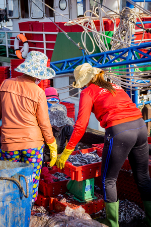 The women working in fish marketのeditorial素材